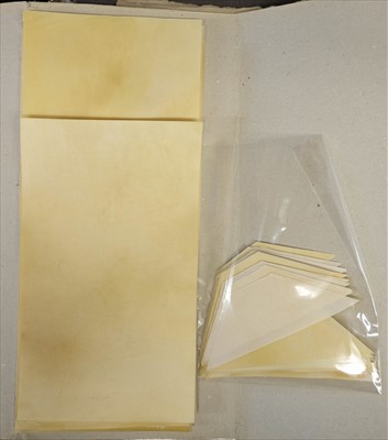 Lot 424 - Vellum. An assortment of vellum pieces and offcuts