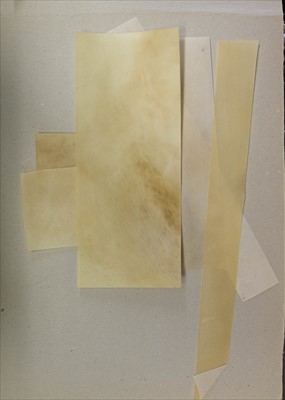 Lot 424 - Vellum. An assortment of vellum pieces and offcuts