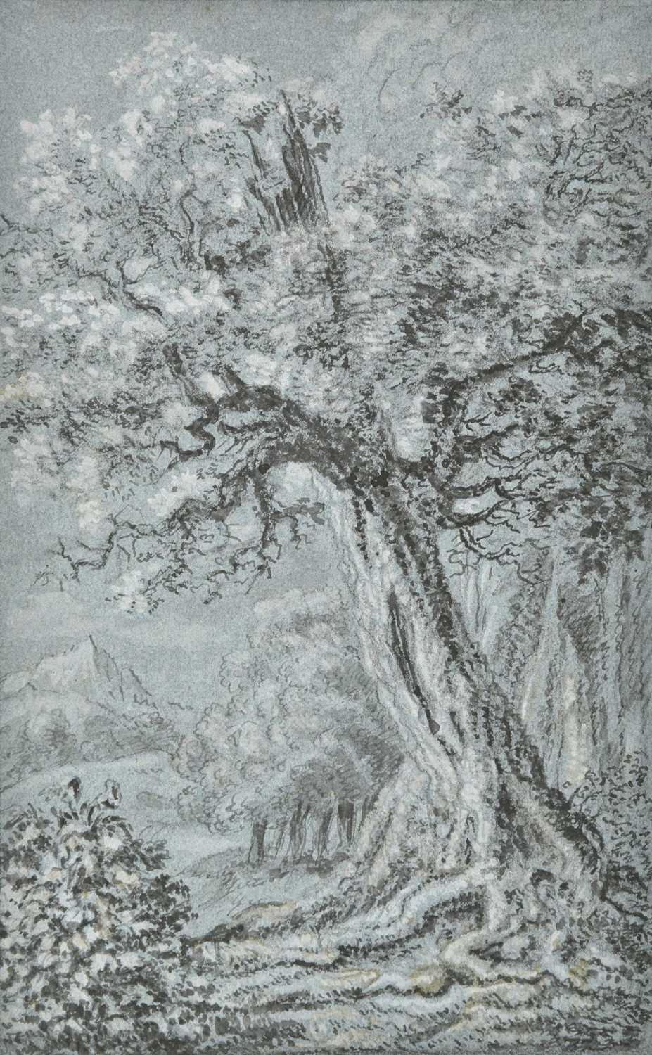 Lot 252 - Dutch School. Trees in a landscape, 17th century
