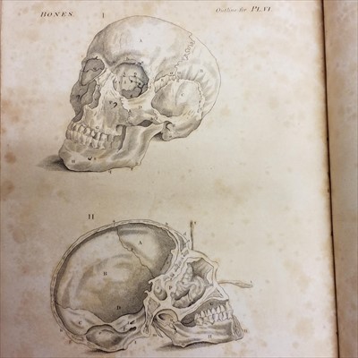 Lot 443 - Antiquarian. A large collection of 18th-19th century medical & science reference