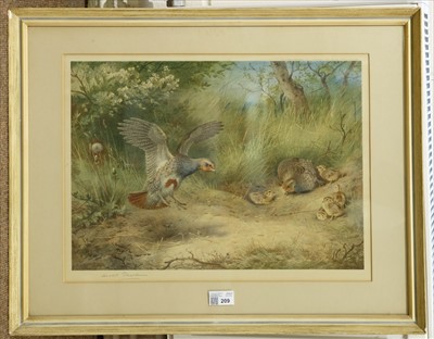 Lot 209 - Thorburn (Archibald). Summer Partridge, published W. F. Embleton, 1927