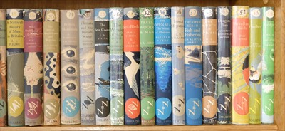 Lot 77 - New Naturalist. British Warblers [...] Ferns [...] Larks [...] Ladybirds, 1st editions, 1984-94
