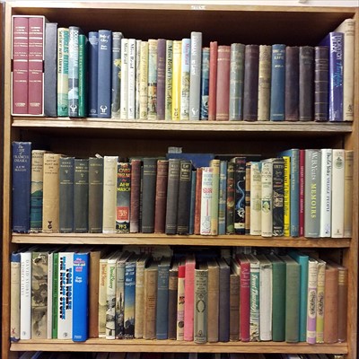 Lot 480 - Modern Fiction. A large collection of modern fiction
