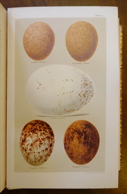 Lot 61 - Seebohm (Henry). Coloured Figures of the Eggs of British Birds, 1896, red morocco binding