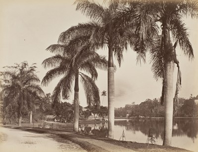 Lot 347 - Ceylon. Scowen & Co. A group of 8 views of Ceylon, c. 1880