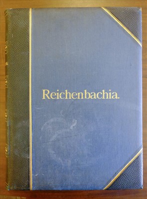 Lot 60 - Sander (Frederick). Reichenbachia, 4 volumes, 1st edition, 1886-95
