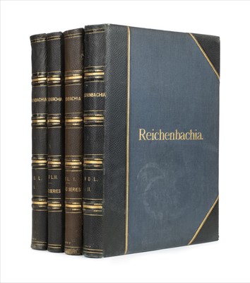 Lot 60 - Sander (Frederick). Reichenbachia, 4 volumes, 1st edition, 1886-95