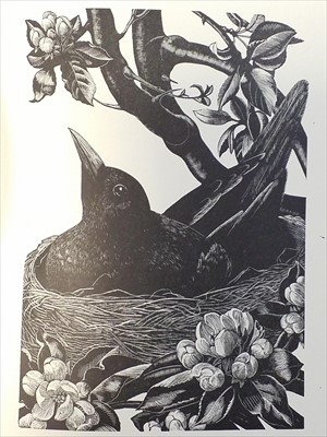 Lot 273 - Illustrated Literature. A collection of illustrated literature & wood engraving reference