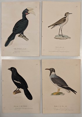 Lot 30 - Birds. A mixed collection of approximately 400 prints, mostly 19th century