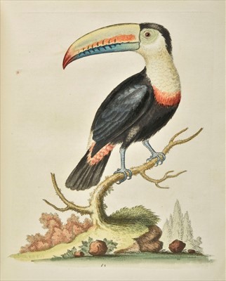 Lot 54 - Edwards (George). A Natural History of Uncommon Birds, 1743-51 [i.e. 1776]