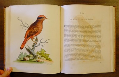 Lot 54 - Edwards (George). A Natural History of Uncommon Birds, 1743-51 [i.e. 1776]