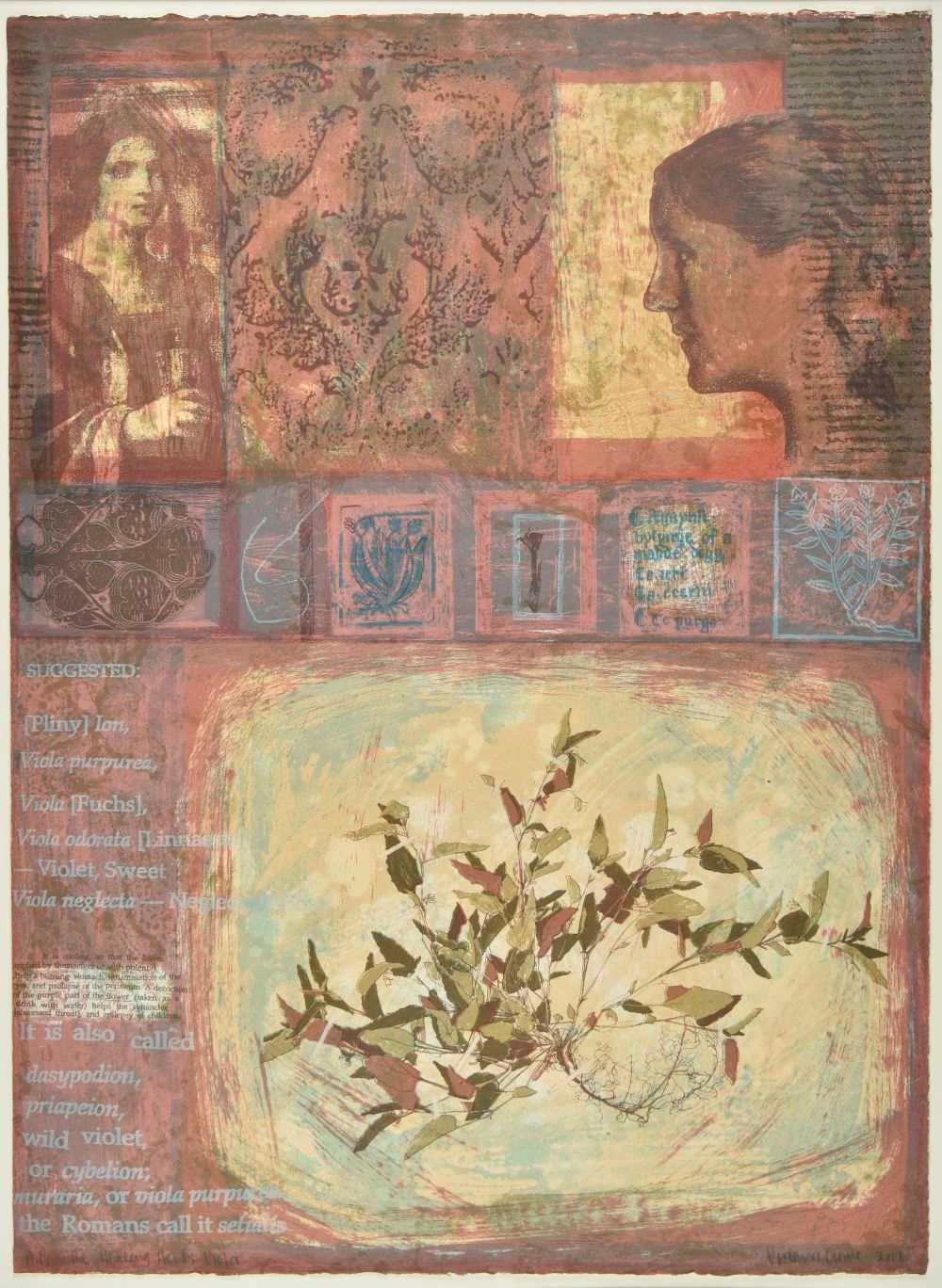 Lot 469 - Crowe (Victoria, 1945-). Viola,