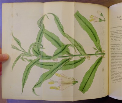 Lot 301 - Hooker (William Jackson). Exotic Flora, 3 volumes, 1st edition, 1823-27