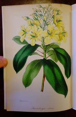 Lot 58 - Paxton (Joseph). Paxton's Magazine of Botany, 15 volumes, 1823-49