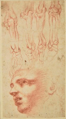 Lot 240 - Poccetti (Bernardino, 1548-1612). Head of a Youth and ecorche studies of arms