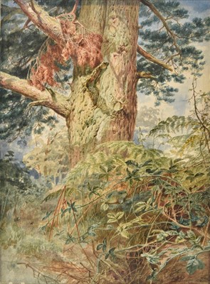 Lot 390 - Walton (Elijah, 1832-1880). "Sketch from nature. King's Heath Pool"