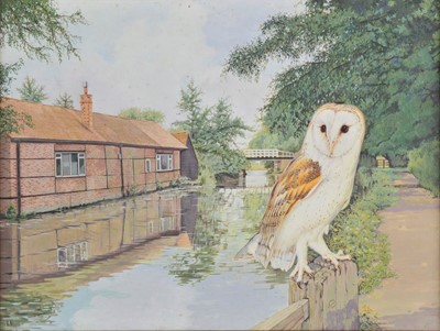 Lot 237 - Emberson (Colin, 20th century). Barn Owl by the river, watercolour