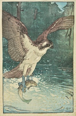 Lot 430 - Seaby (Allen William, 1867-1953). Osprey, circa 1918