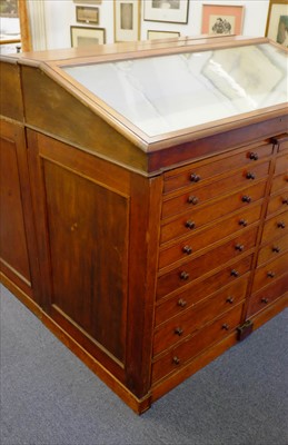 Lot 131 - Museum display cabinet