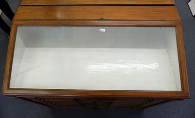 Lot 131 - Museum display cabinet