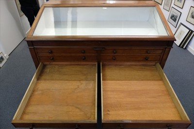 Lot 131 - Museum display cabinet