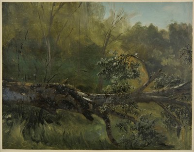 Lot 343 - Calame (Alexandre, 1810-1864). Fallen tree trunk