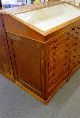 Lot 132 - Museum display cabinet