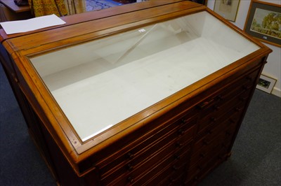 Lot 132 - Museum display cabinet