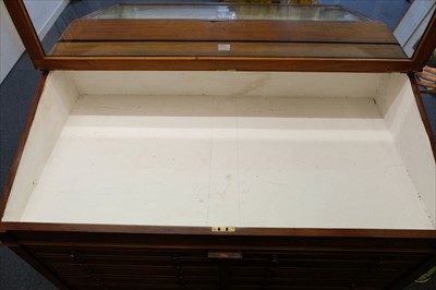 Lot 132 - Museum display cabinet