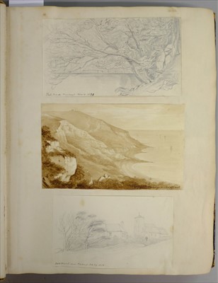 Lot 318 - Brightwen (Hannah Sarah Turner, 1808-1882). An album of approximately 170 drawings