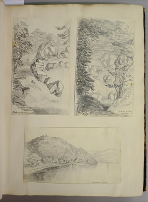 Lot 318 - Brightwen (Hannah Sarah Turner, 1808-1882). An album of approximately 170 drawings