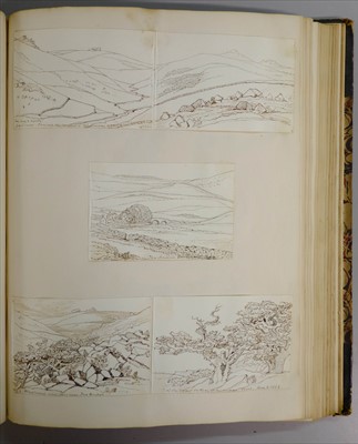 Lot 318 - Brightwen (Hannah Sarah Turner, 1808-1882). An album of approximately 170 drawings