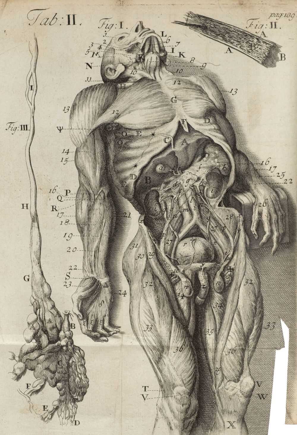 Lot 247 - Drake (James). Anthropologia Nova; or, a New System of Anatomy, 1707