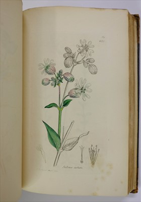Lot 64 - Sowerby (James). English Botany, [1832]-1840, & others