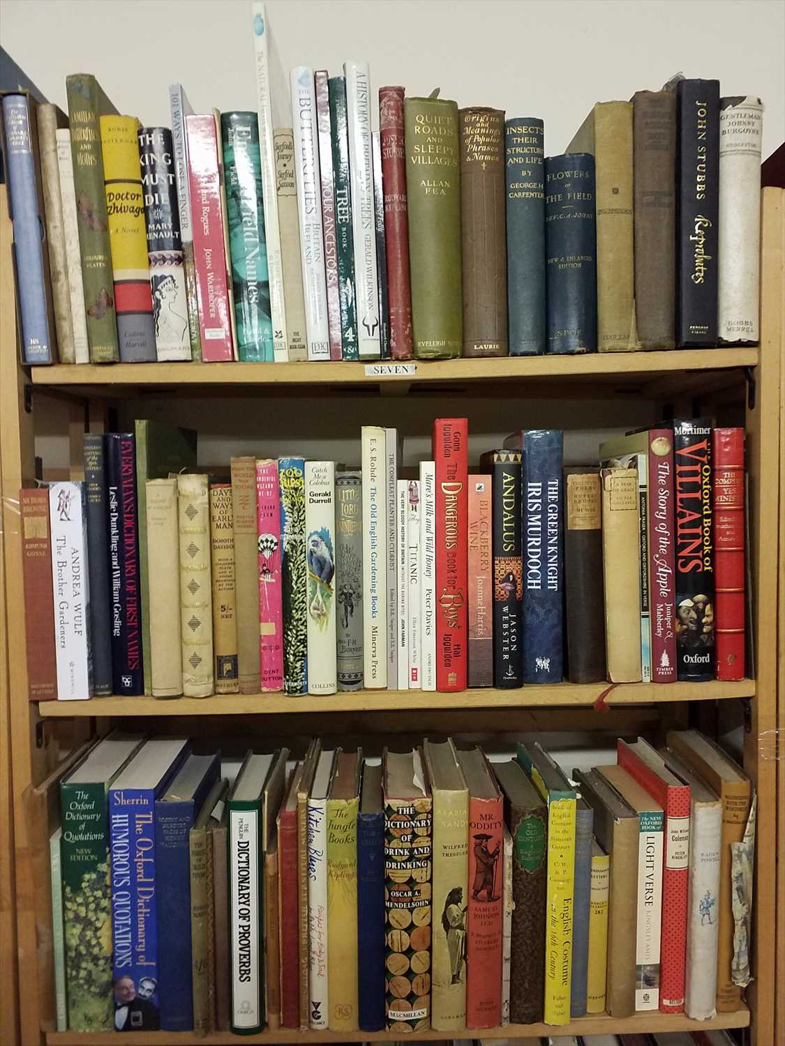 Lot 422 - Literature. A large collection of modern miscellaneous literature & fiction