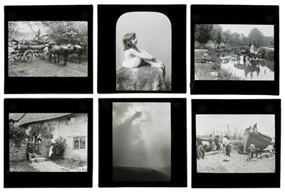 Lot 136 - Bird (Owen Graystone). A collection of approx. 115 diapositive lantern slides, early 20th century
