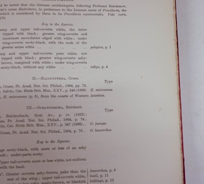 Lot 234 - Godman (Frederick Du Cane). A Monograph of the Petrels, 2 volumes, 1st edition, 1907-10