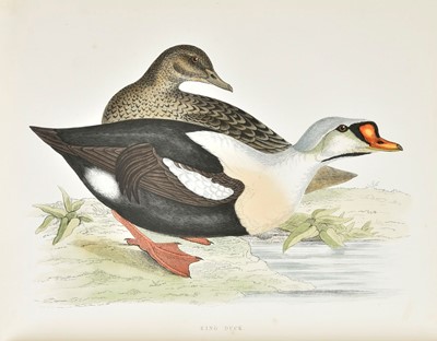 Lot 249 - Morris (Beverley R.). British Game Birds and Wildfowl, 1864