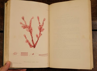 Lot 242 - Johnstone (W. G., & Alexander Croall). The Nature-Printed British Sea-Weeds, 1st edition, 1859-60