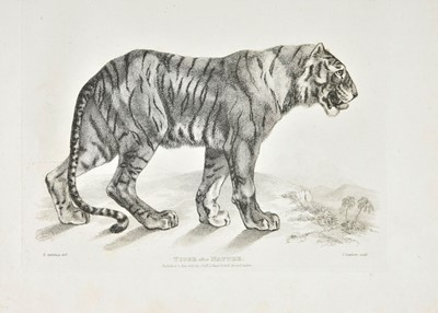 Lot 209 - Landseer (Thomas). Twenty Engravings of Lions, Tigers, Panthers and Leopards, 1st edition, 1823