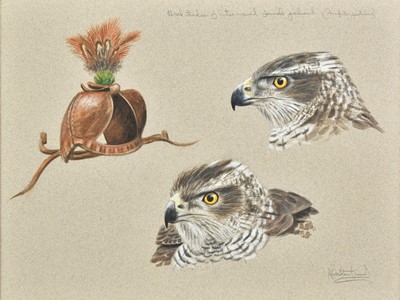 Lot 215 - Proud (Alistair, 1954-). Two watercolours of falconry hoods and hawks, [1954 - ]