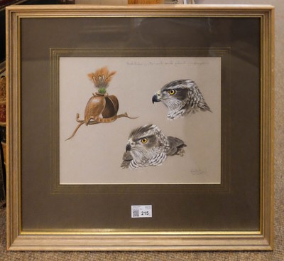 Lot 215 - Proud (Alistair, 1954-). Two watercolours of falconry hoods and hawks, [1954 - ]