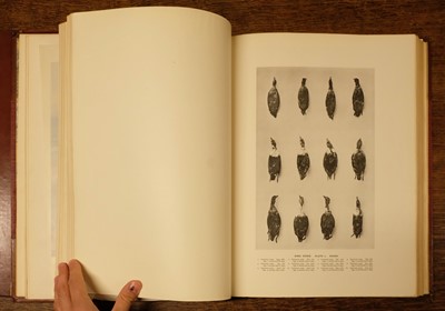 Lot 248 - Millais (John Guille). The Natural History of British Surface-Feeding Ducks, 1909, & others
