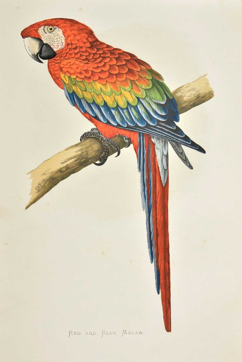 Lot 237 - Greene (William Thomas). Parrots in Captivity, 3 volumes, 1st edition, 1884-7