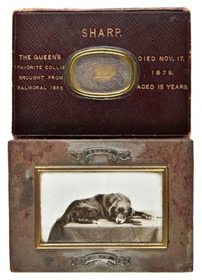 Lot 615 - Hair Jewellery - Queen Victoria's Collie (1864-1879). Sharp, the Queen's favourite collie