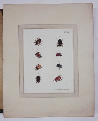 Lot 220 - Voet (J. E.). Catalogus systematicus coleopterorum, 1806, ex libris Thomas Forster (1786-1860)