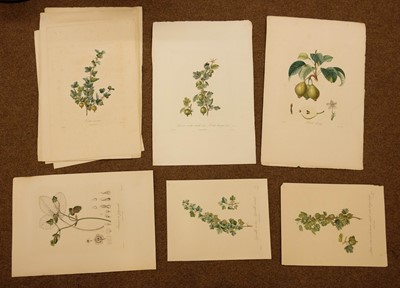 Lot 296 - Duhamel du Monceau (H. L.). A collection of thirty-four engravings, 1807 - 1835
