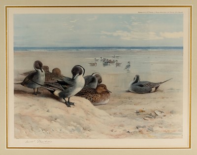 Lot 317 - Thorburn (Archibald, 1860-1935). Five prints of birds, circa 1927