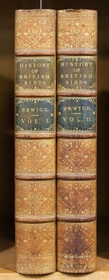 Lot 146 - Bewick (Thomas). History of British Birds (Land/Water Birds), 2 vols. 1st ed., Newcastle, 1797-1804