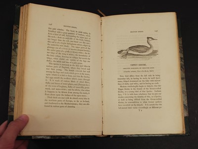 Lot 147 - Bewick (Thomas). History of British Birds (Land/Water), 2 vols., [3rd/1st eds.], Newcastle, 1805/04